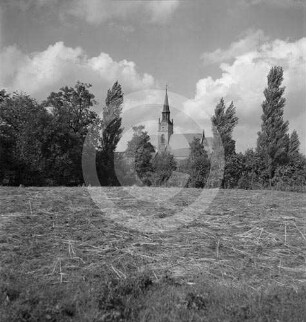 Feld mit Baumgruppe und Kirche in Polen
