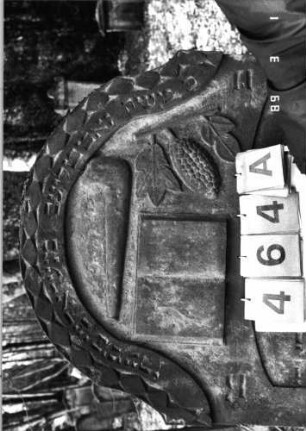 Grabstein 464 (Index: 99752847) Material: Sandstein Zustand: gut Maße HxBxT: 145x74x13 cm Beschreibung: konkav eingezog. Segmentbogenabschl. , Schriftfeld eingetieft m. Segmentbogenabschl. Symbolik: Schofar, aufgeschlagenes Buch, Pinienzapfen, Blätter, Rautenfries: Grabstein 464A