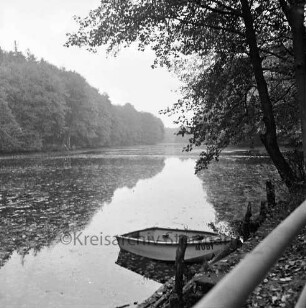 Kupfermühle: Kupfermühlenteich: vorn rechts Geländer: dahinter Ruderboot: daneben Baum: Blätter im Wasser: hinten Wald
