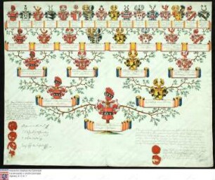 Ahnenprobe des Heinrich Adalbert v. u. z. Bastheim. - ausgefertigt 1801 Juni 1, Pergament