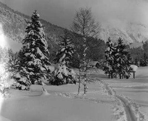 Spuren im Schnee
