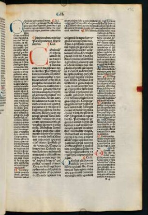 136r-146v, Capitulum I. - Capitulum XX.
