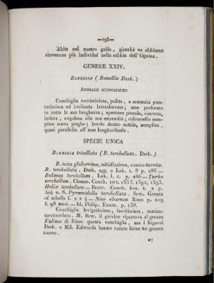Genere XXIV. [bis] Genere XXVIII.