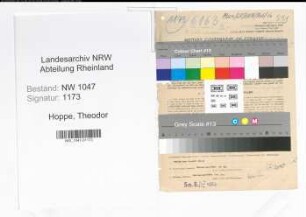 Entnazifizierung Theodor Hoppe , geb. 09.02.1909 (Vermessungstechniker)