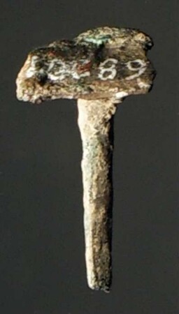Kleiner Nagel