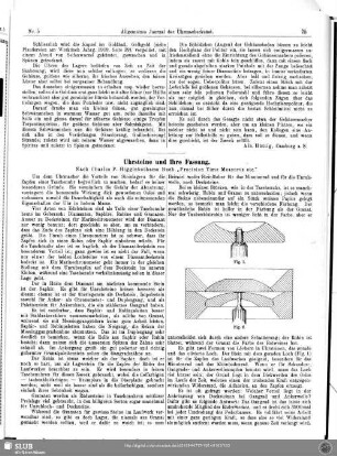 Der Uhrmacher als Gehäusemacher (IV)