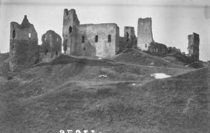 Schlossruinen : Alte Schlossruinen von Rakvere