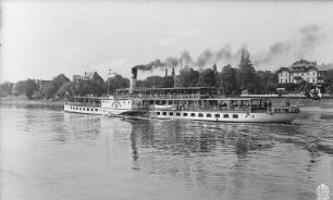 Personen-Seitenraddampfer "Dresden" (1926, Werft Laubegast) bei Dresden-Blasewitz, Fahrt stromauf