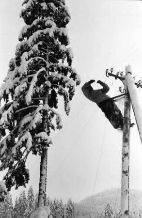 St. Blasien - Todtmoos: Straße; Bautrupp beseitigt Schneeschäden an Telefonleitungen; Arbeiter auf Telefonmast