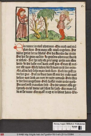 Von der Tanne und dem Dornbusch.