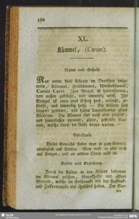 XL. Kümmel, (Carum)