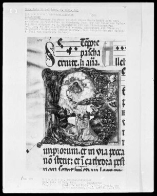 Psalterium und Kalender — Initiale B (eatus vir), darin König David vor Gott