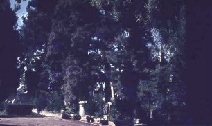 Damaskus Hotelgarten