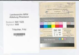 Entnazifizierung Fritz Tritschler , geb. 24.12.1889 (Baurat)