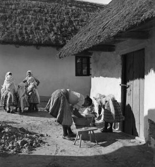 Reisefotos. Ungarn. Dorfszene mit Kindergruppe und Frau an einer Waschschüssel