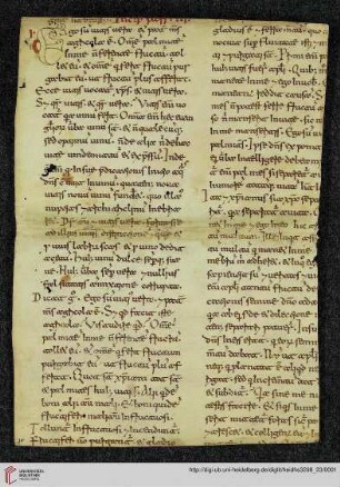 Cap. XV (Passio Christi)
