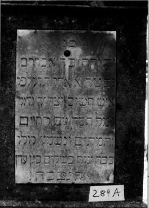 Grabstein 289 [Nir S. 196 Nr. 17.22]: Grabstein 289A [Nir S. 196 Nr. 17.22]