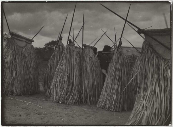 Parade of the Kokrít mask wearers (Canela)