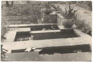 Garten Bergius, Heidelberg: Wasserbecken mit Seerosen