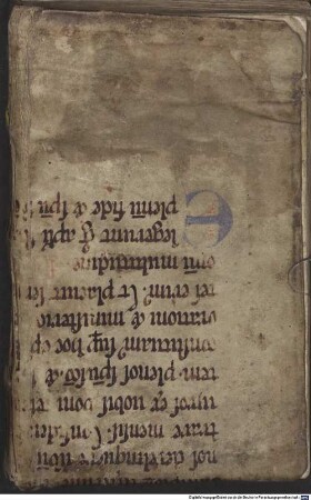 Quaestiones novae in libellum de sphaera Ioannis de Sacro Busto