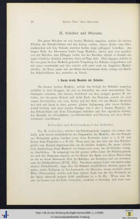 II. Schulter und Oberarm.