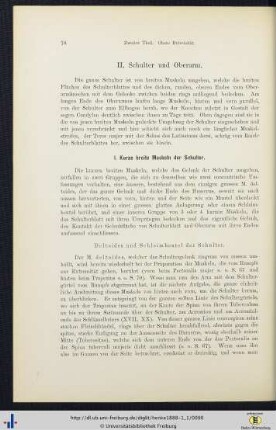II. Schulter und Oberarm.