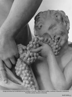 Bacchus