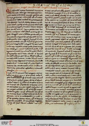 Bartholomaeus Brixiensis: Ordo judiciarius