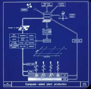 Computer aided plant production