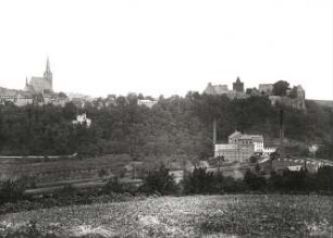 Leisnig, Ortsansicht : Leisnig. Ortsansicht von Nordosten über die Freiberger Mulde mit Burg Mildenstein und Stadtkirche Sankt Matthäus