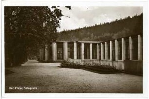 Bad Elster. Salzquelle