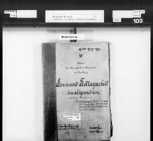 Sonn- und Feiertagsarbeit, Bd. 9