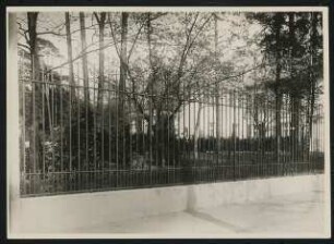 Landhaus Louis Ullstein, Berlin-Grunewald: Gartenzaun