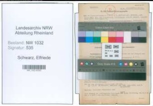 Entnazifizierung Elfriede Schwarz , geb. 10.11.1897 ()