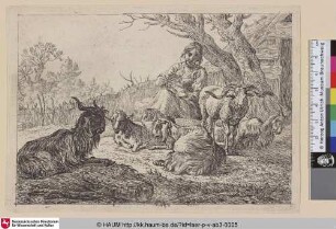 [Spinnende Schäferin mit Ziegenherde; The Buck, Two Goats and Three Sheep near the Woman with the Reel; Herderin te midden van geiten en schapen]