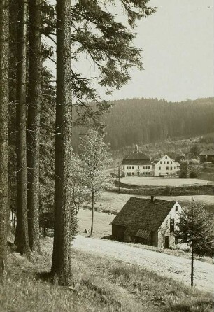 Schmalzgrube, Eisenhammerwerk mit Hochofenruine