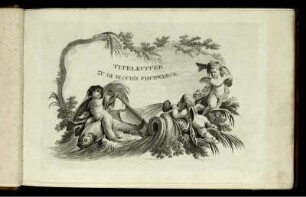 5. Theil,TAF: Marcus Elieser Bloch's Naturgeschichte der ausländischen Fische. 5. Theil