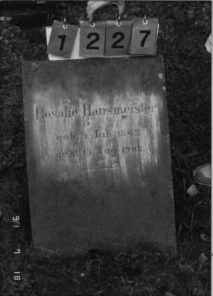 Grabstein 1227 [Hahn S. 90 Grab-Nr. 1882]