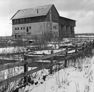 Heinrichshof, Gut: stillgelegte Schweinemastanlage: Mischfutterwerk: vorn Böschung mit Holzzaun und Sträucher: dahinter Siloreste: Winter
