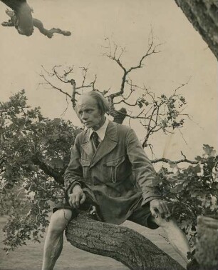 Hermann Dietze : Portrait des Studienrates Hermann Dietze (1889-1980) auf einem Baumstamm sitzend