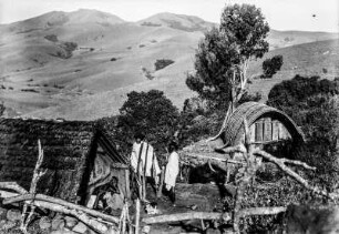 Toda Hütte (Deutsche Indien-Expedition 1926/1929 - 5. Südindien)