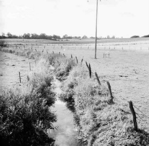 Grinau mit angrenzenden Weiden: vorn Zaun: hinten rechts Pferd neben Mast: dahinter Knicklandschaft