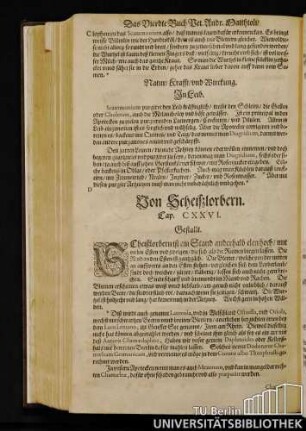 Cap. CXXVI. Von Scheißlorbern.