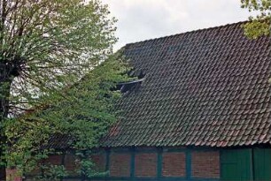 Gut Tangstedt: Torhaus: Feldseite: Südflügel, Teilansicht: Schäden an Dach: 5. Mai 1994