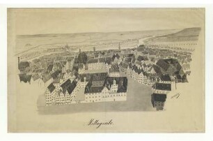 Ulm aus der Vogelschau. [Münsterblick] Um 1860