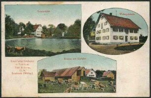 Verser'scher Gutsbeitz in Unterhueb Post Seibranz, O. A. ,Leutkirch