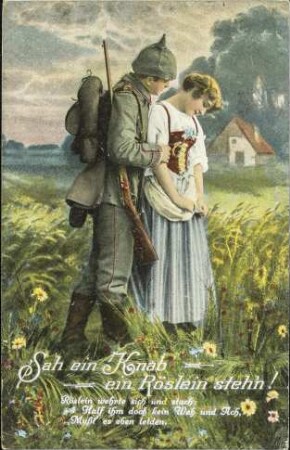 Sah ein Knab' ein Röslein steh'n - Röslein wehrte sich und stach [...]