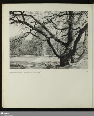 Im Park von Charlottenhof - Gestaltung Lenné 1826 bis 1844
