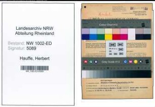 Entnazifizierung Herbert Hauffe, geb. 02.01.1906 (Kaufm.Angest.)