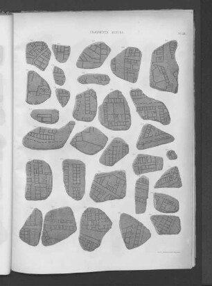 Fragmenta Minora.